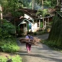 suara asli - blusukandesatv