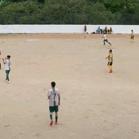 breynercastrellon4