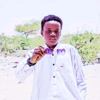 leminkideoo89