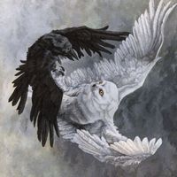 crowdetective