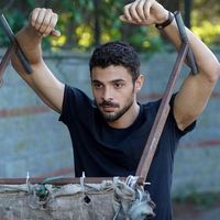 الصوت الأصلي