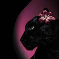 original sound - ladyfaya0