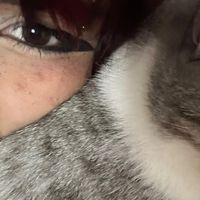 hanna_lopez_434