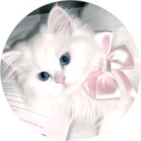 sumu_1520