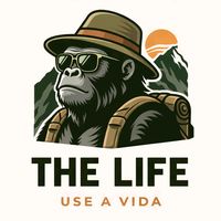 a.vida08