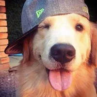 original sound - m_st2119