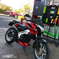 alepalcisos503