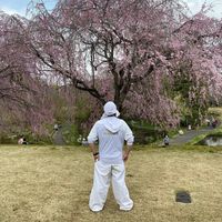 オリジナル楽曲 - タイガ 達也