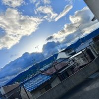 sitake0823