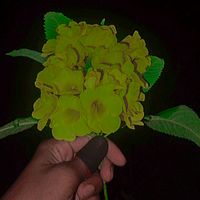 mdmiraj.com139
