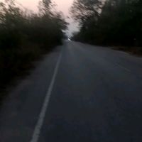 kuntawit0