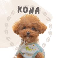 konacoffeekona