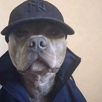 оригинальный звук