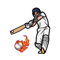 cricket_bazzare