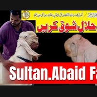 abaidkhan37