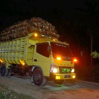 suara asli - nopal:;