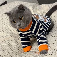 askisi_1234