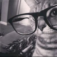 suara asli