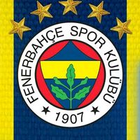 feneristimm