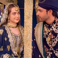 sanam.queen798