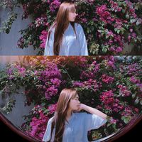 nhạc nền - Honh nyy🍓