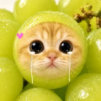 오리지널 사운드 - shine_mus_cat