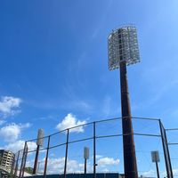 miri_baseball_