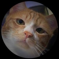 เสียงต้นฉบับ - Thunchanan_69🌻