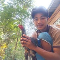 original sound - ကိုထက် 🌊🍁🙈