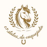 er_statusdevaquejada