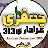 jafariazadar313