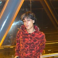 motives_leal_