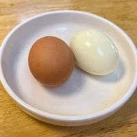 _cosmetics.egg