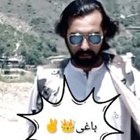 shajee317