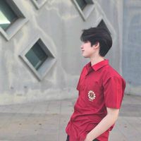 apirxk_zzz