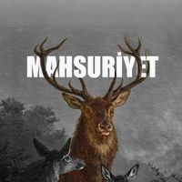 orijinal ses