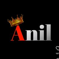 im_anil295_