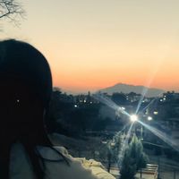 zhuxin7393