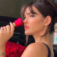 icon__icon