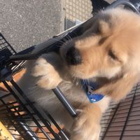 jack_jack0430