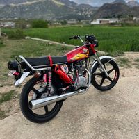pukhtoon.220