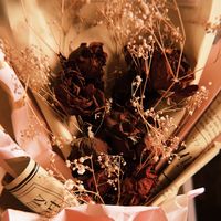 anikshya5