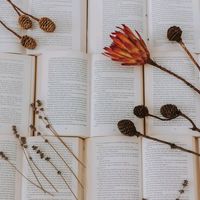 steamy.romance.recs