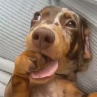 original sound - ol6veiraa_