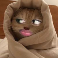 suara asli - c h e v m a