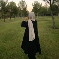 its_hz_1