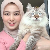 suara asli - capibarra