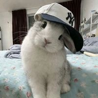 m_preety02