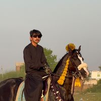 chzaryabtarar01