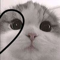 yeseni_008